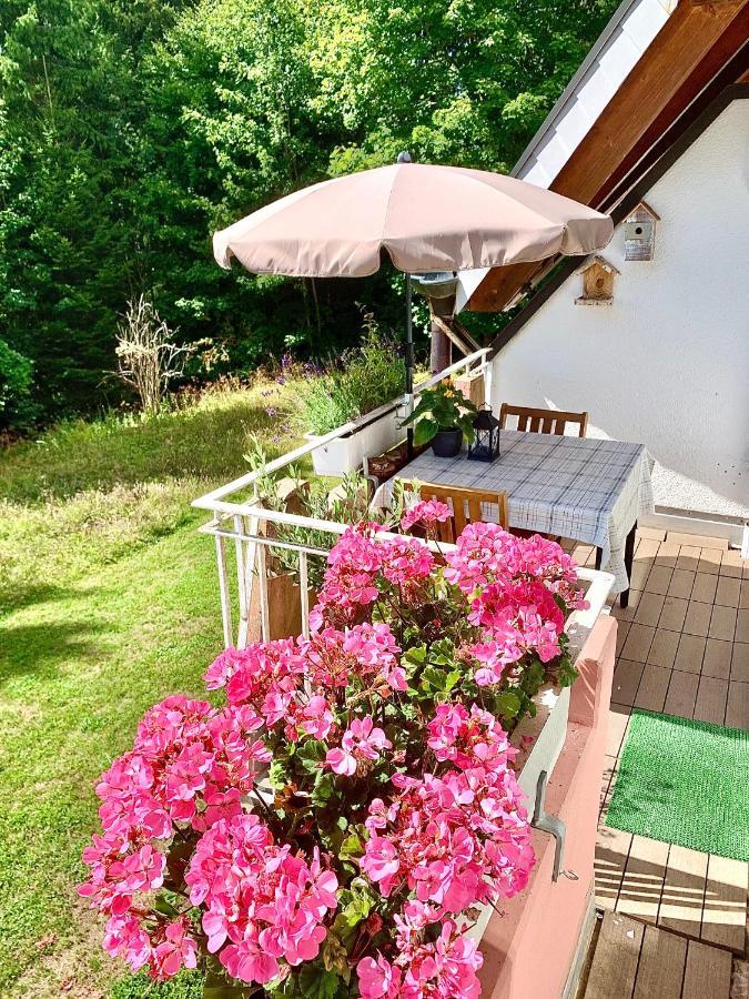 Studio Hase Saig Exterior foto