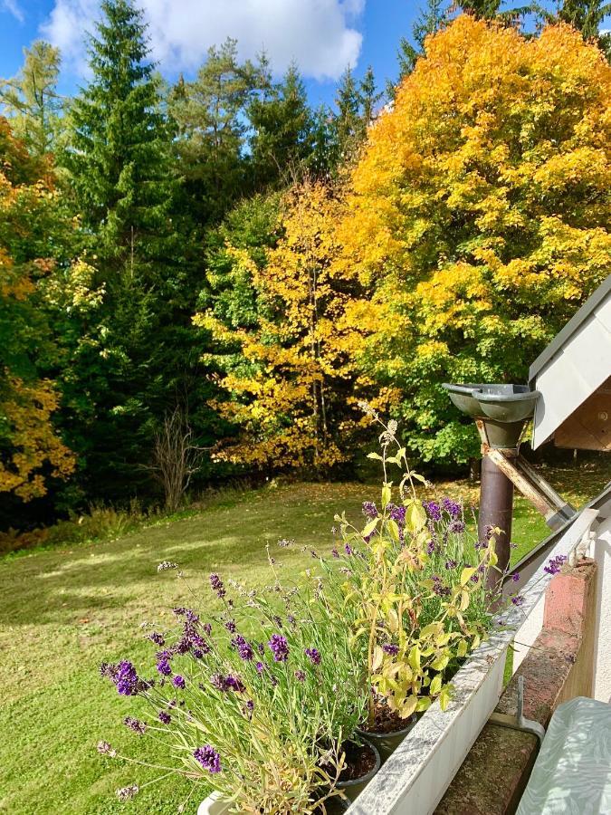 Studio Hase Saig Exterior foto